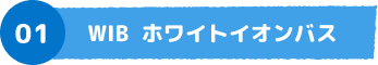 01 WIB ホワイトイオンバス