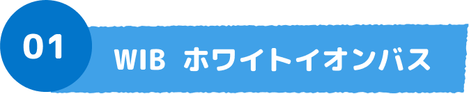 01 WIB ホワイトイオンバス